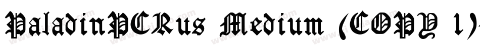 PaladinPCRus Medium (COPY 1)字体转换